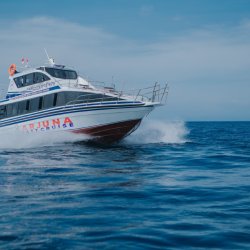 1. Arjuna Fast Cruise