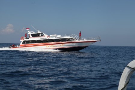 1. D'Camel Fast boat Lembongan