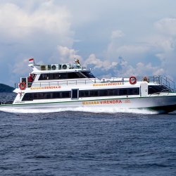 1 - Wahana Virendra boat