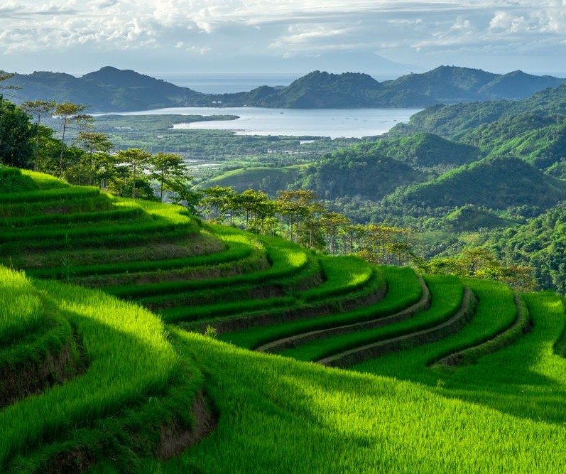 Ubud to Lombok Travel Tips