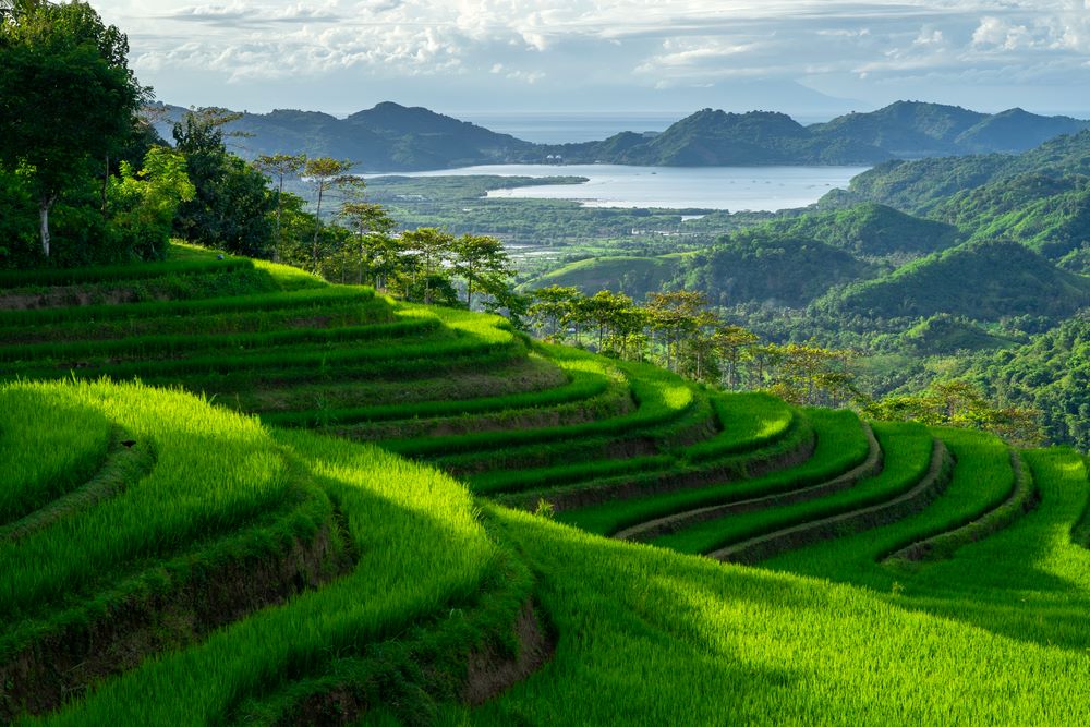 Bali to Lombok
