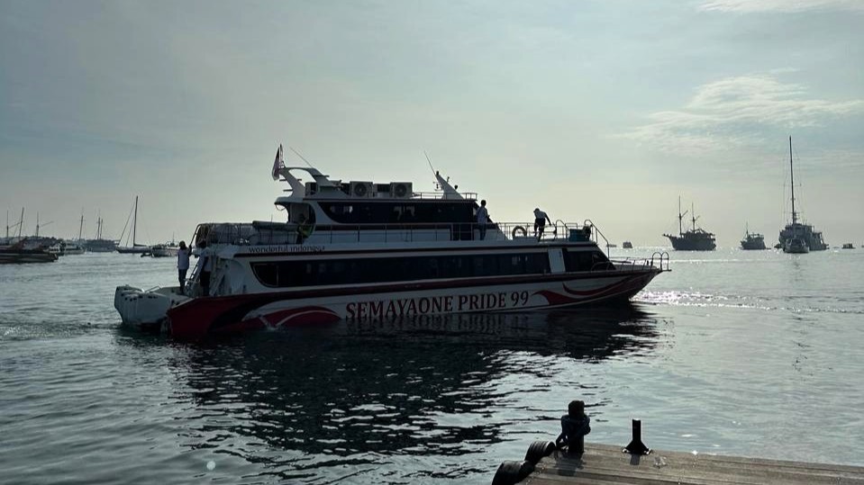 SemayaOne Pride 99