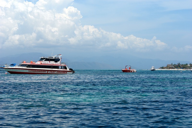 Rocky Fast Cruises